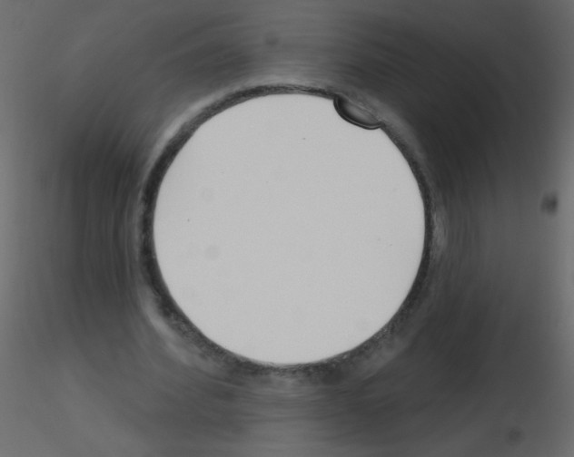 X0000115770580200912241752