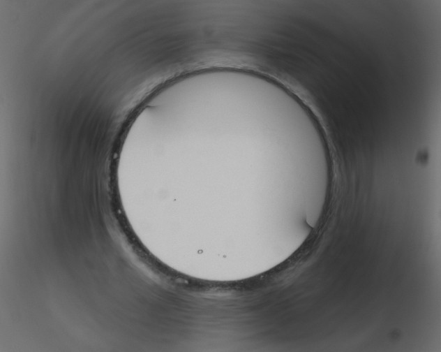 X0000115770581200912241751