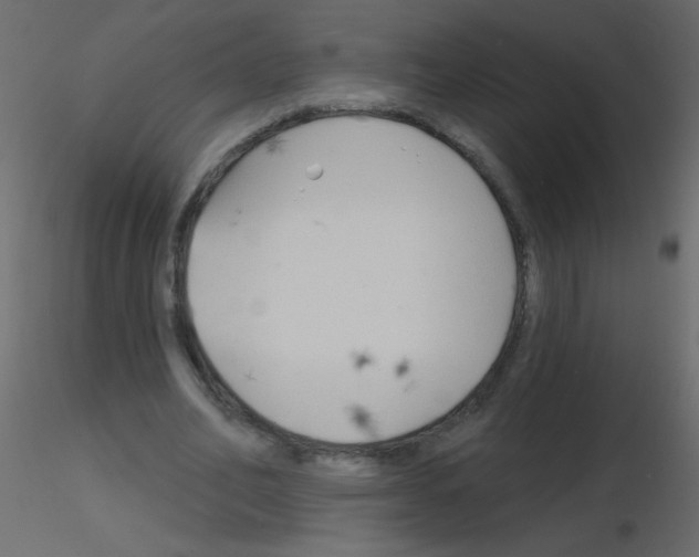 X0000115770582200912241751