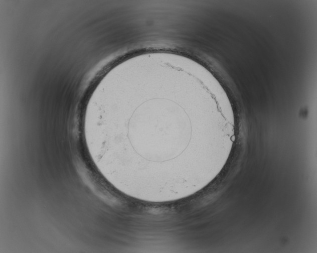 X0000115770584200912241751