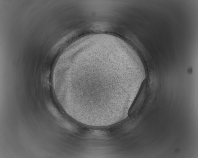 X0000115770585200912241751