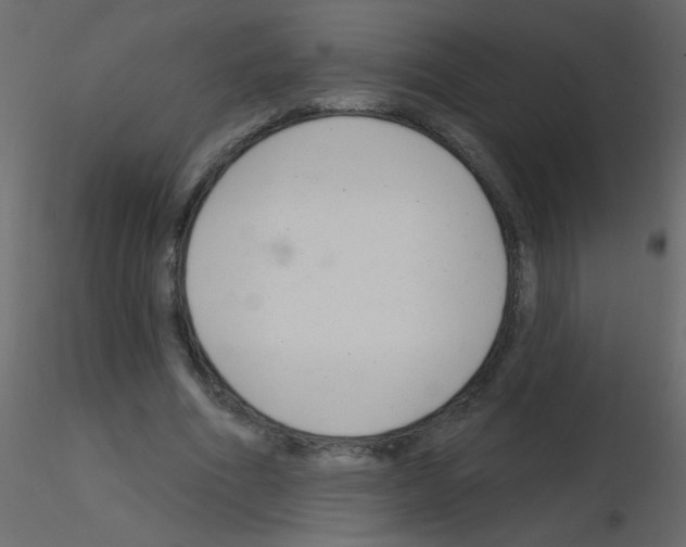 X0000115770586200912241751