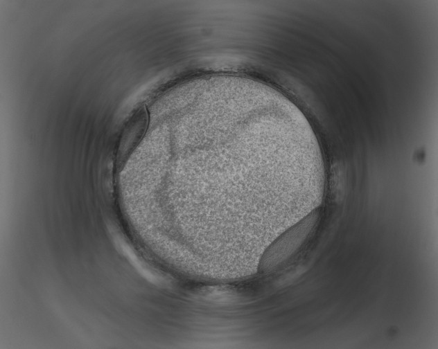 X0000115770589200912241751