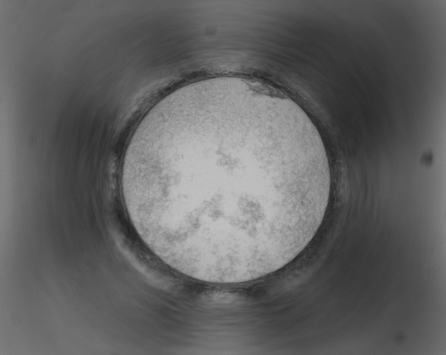 X0000115770590200912241751
