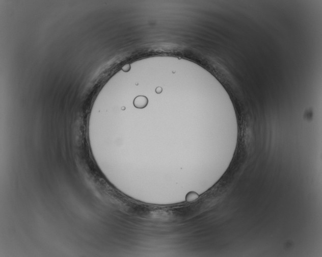 X0000115770591200912241751
