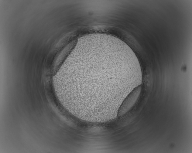 X0000115770593200912241751