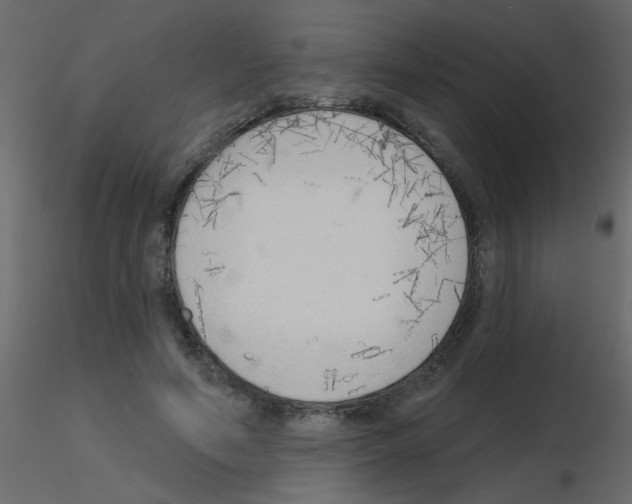 X0000115770594200912241751