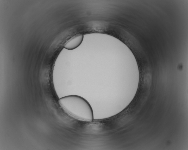 X0000115770595200912241751