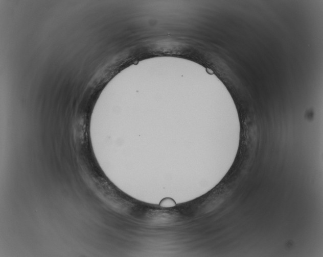 X0000115770597200912241751