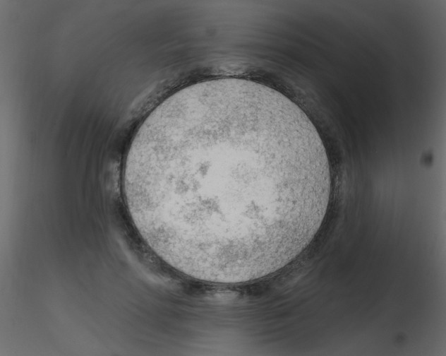 X0000115770598200912241751