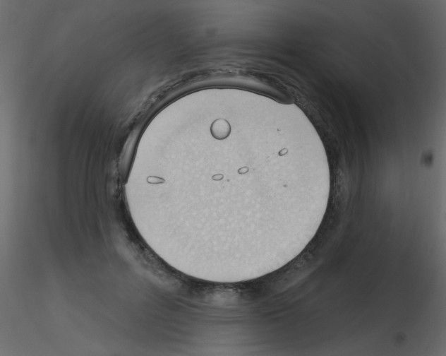 X0000115770600200912241751