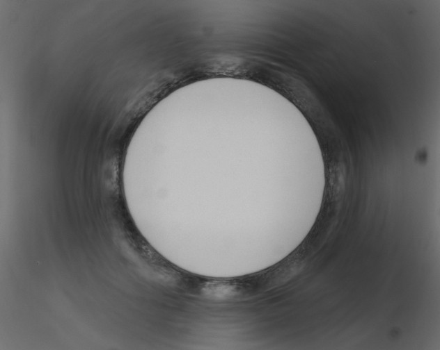 X0000115770602200912241751