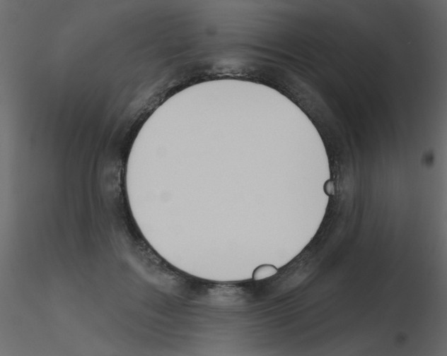 X0000115770603200912241751