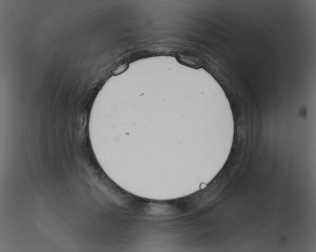 X0000115770605200912241751