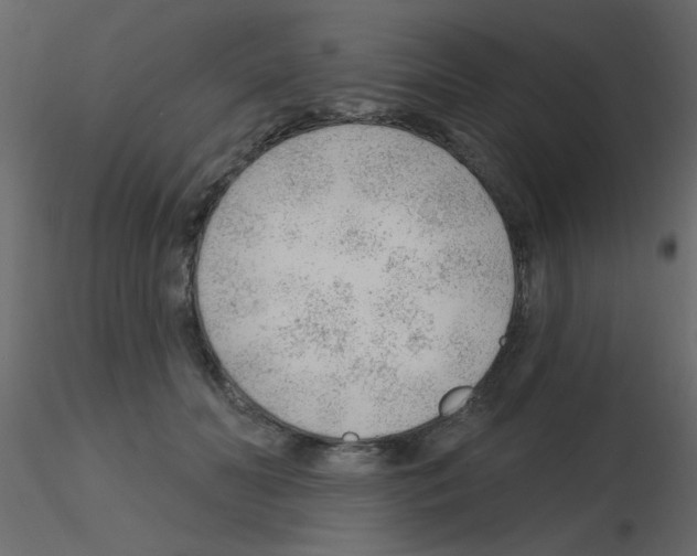 X0000115770606200912241751