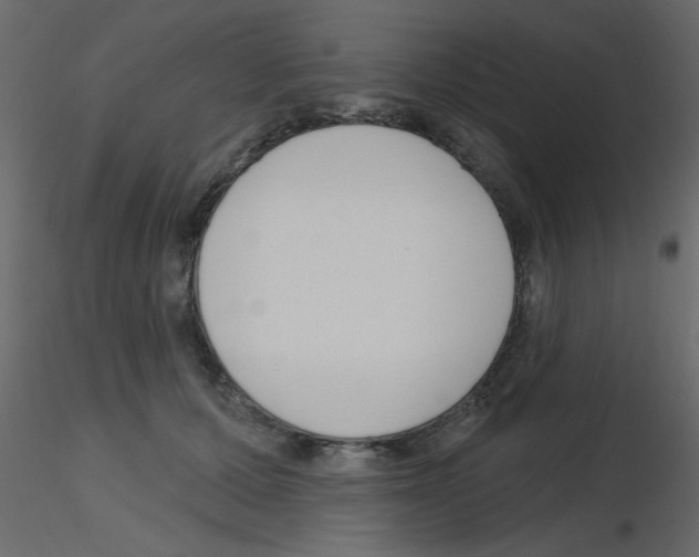 X0000115770607200912241751