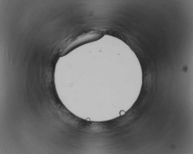 X0000115770608200912241751