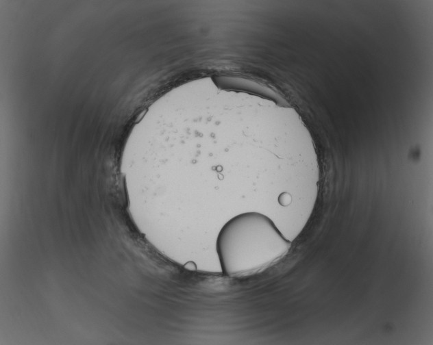 X0000115770609200912241751