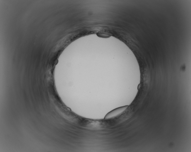 X0000115770611200912241751