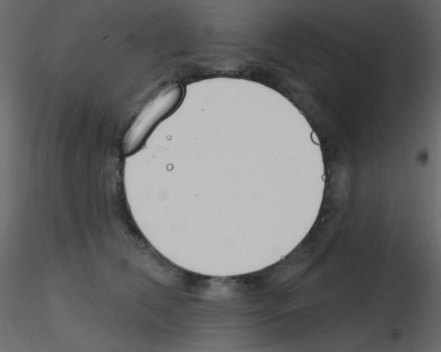 X0000115770612200912241751