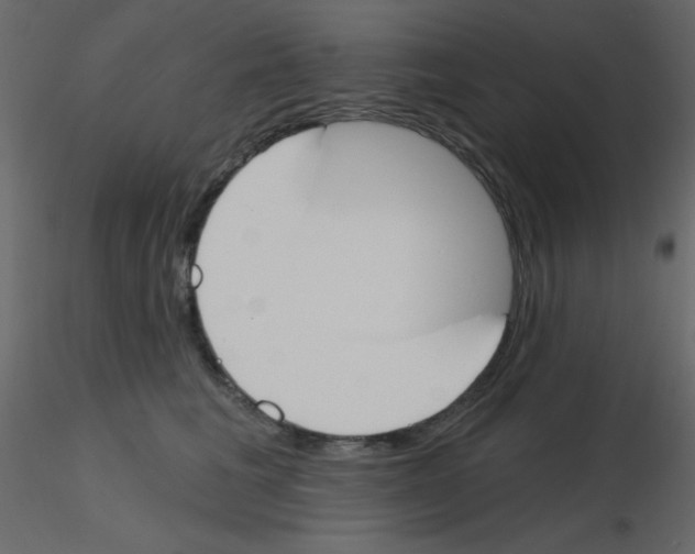 X0000115770613200912241751