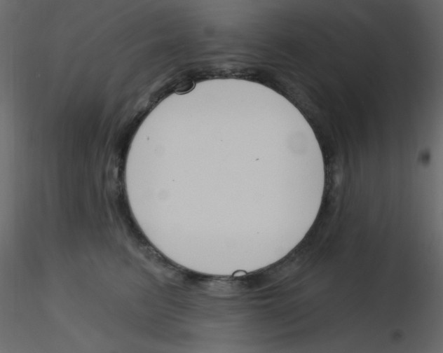 X0000115770615200912241751