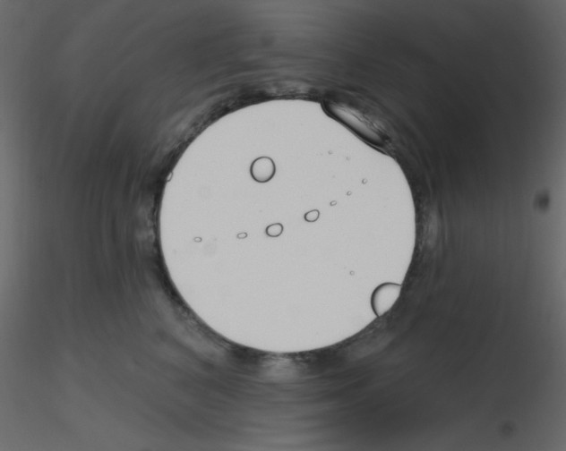 X0000115770616200912241751
