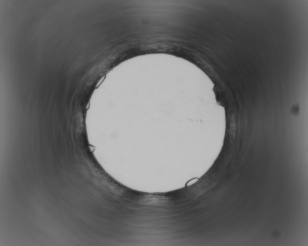 X0000115770617200912241751