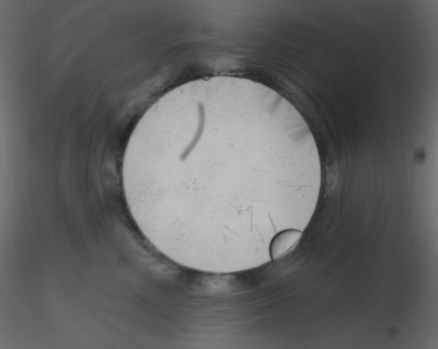 X0000115770618200912241751