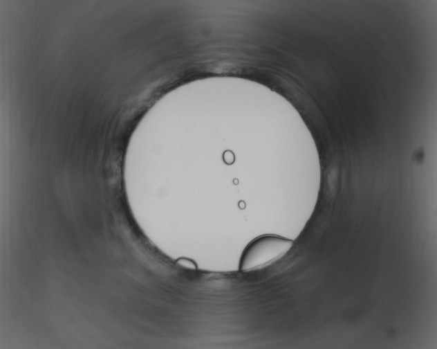 X0000115770620200912241751