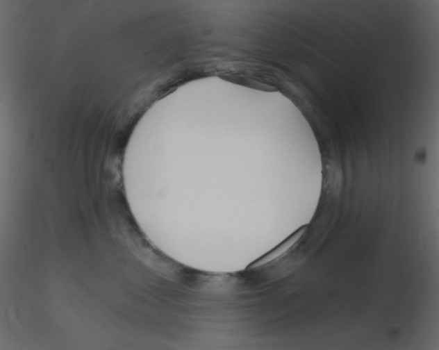X0000115770621200912241751