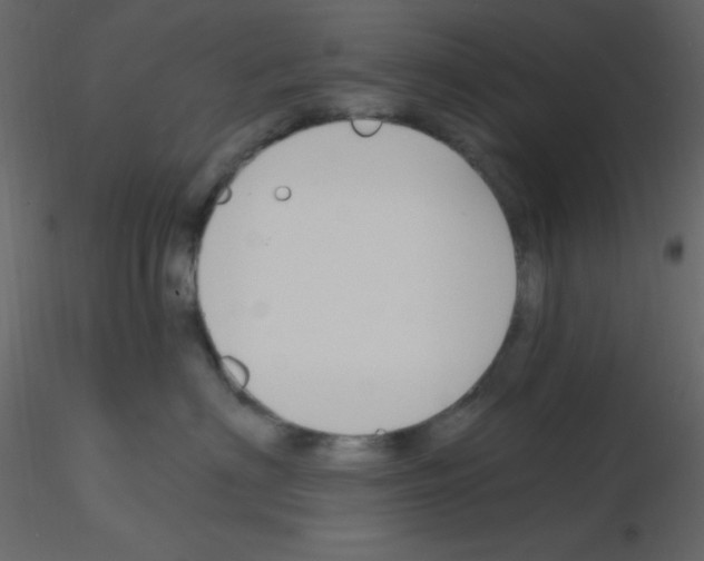 X0000115770622200912241751