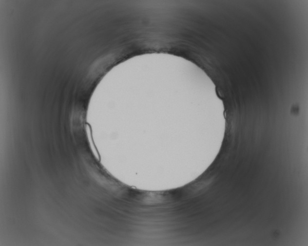 X0000115770623200912241751