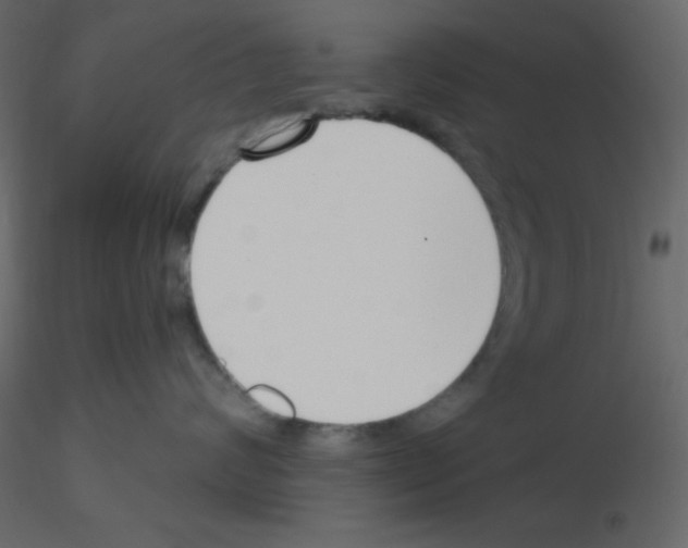 X0000115770624200912241751