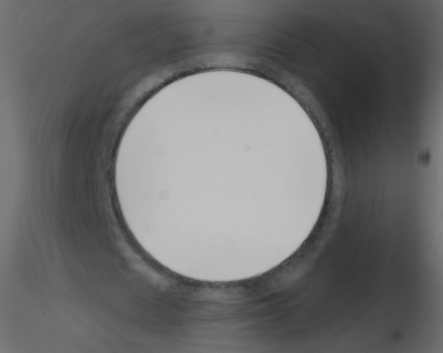 X0000115770625200912241750