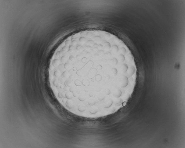 X0000115770626200912241750