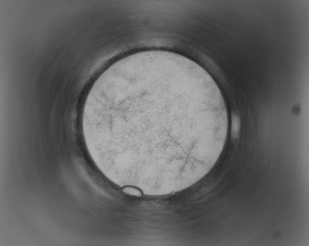 X0000115770627200912241750