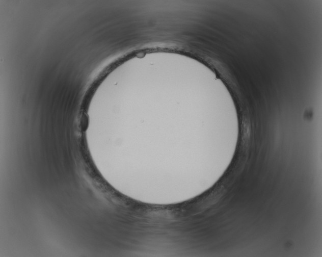 X0000115770628200912241750
