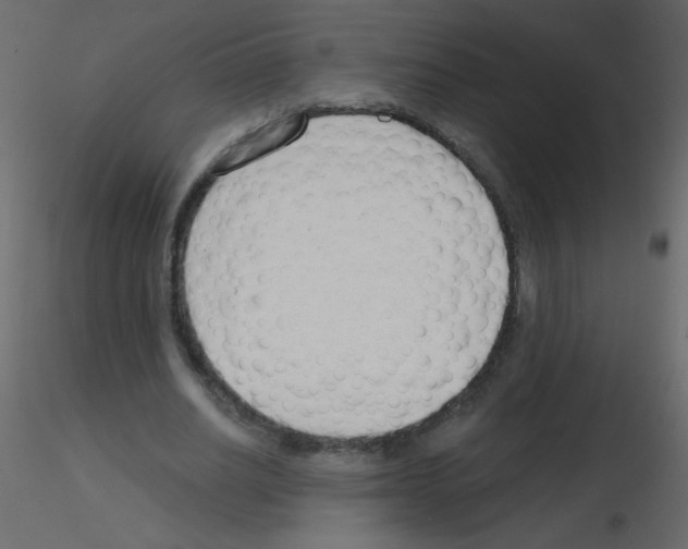 X0000115770630200912241750