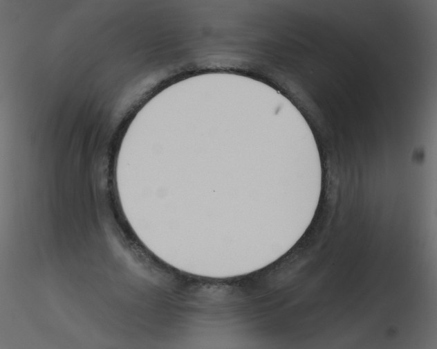 X0000115770631200912241750