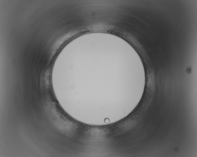 X0000115770632200912241750
