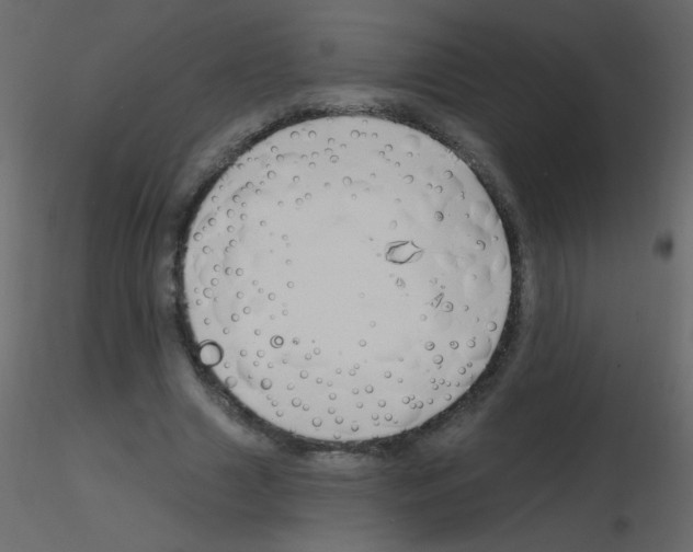 X0000115770633200912241750