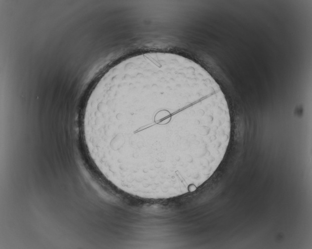 X0000115770634200912241750