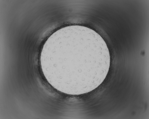 X0000115770635200912241750