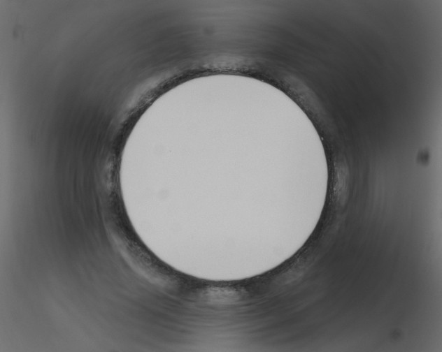 X0000115770636200912241750