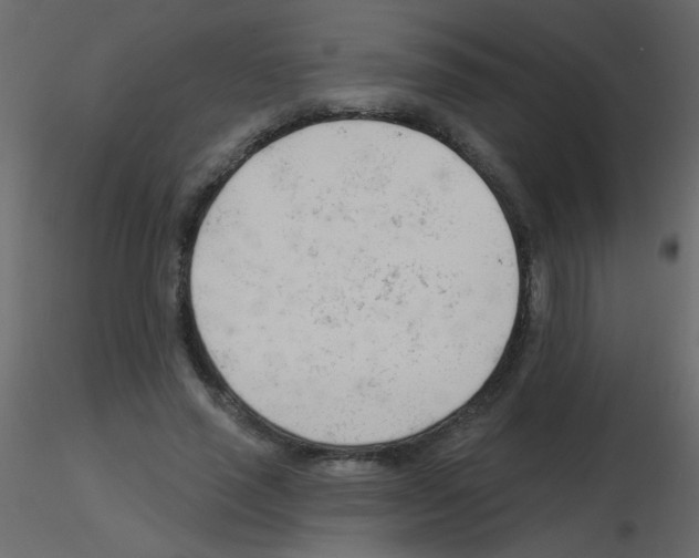 X0000115770637200912241750