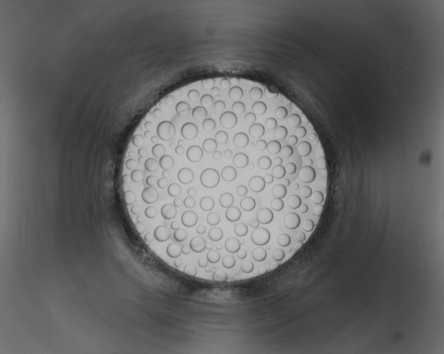 X0000115770639200912241750