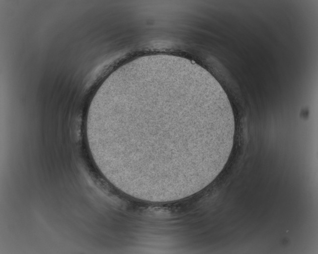 X0000115770640200912241750