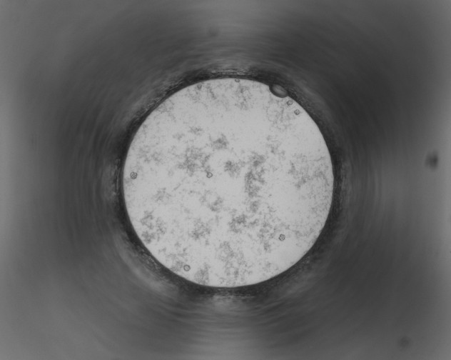 X0000115770641200912241750