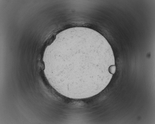 X0000115770642200912241750